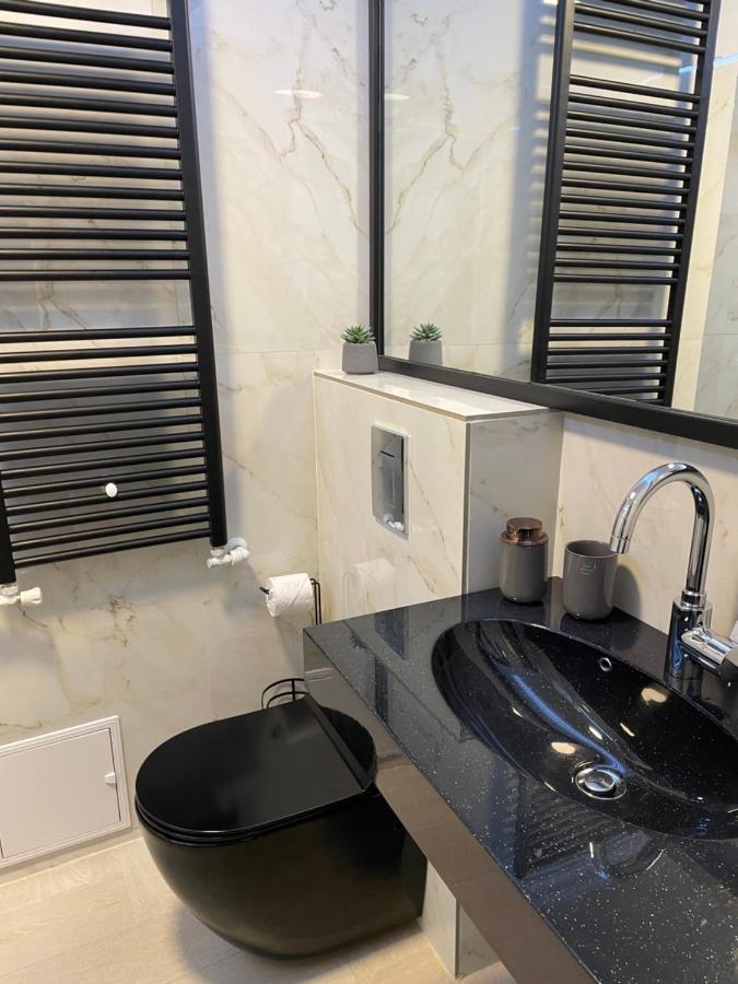 Luxury City Studios Curtea De Arges Luaran gambar